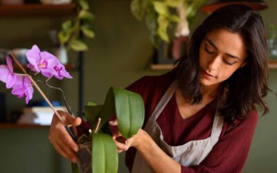 Common and Costly Mistakes to Avoid in Proper Flower Care